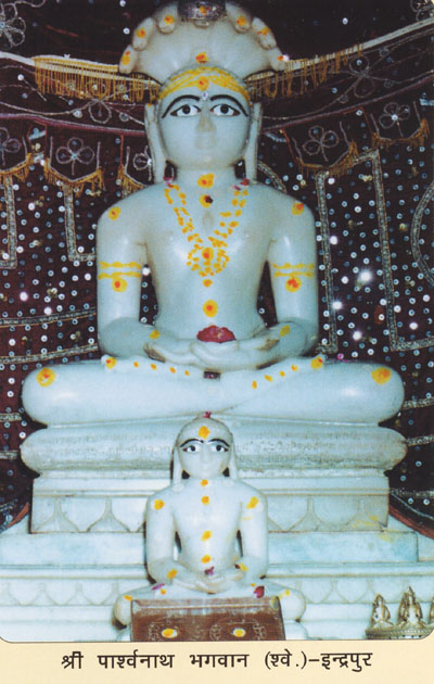 49157_Sri Indrapur Tirth