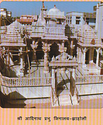 22003_jhadoli