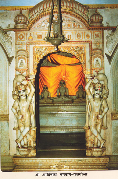 22509_Sri Kathgola Tirth