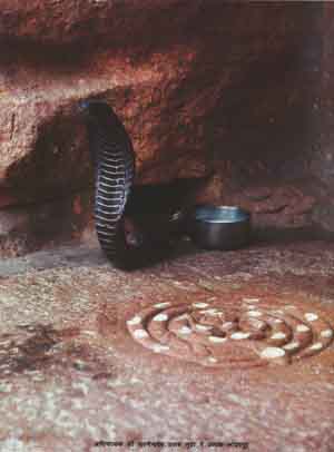 90914_Sri Lodravpur Tirth.- 1