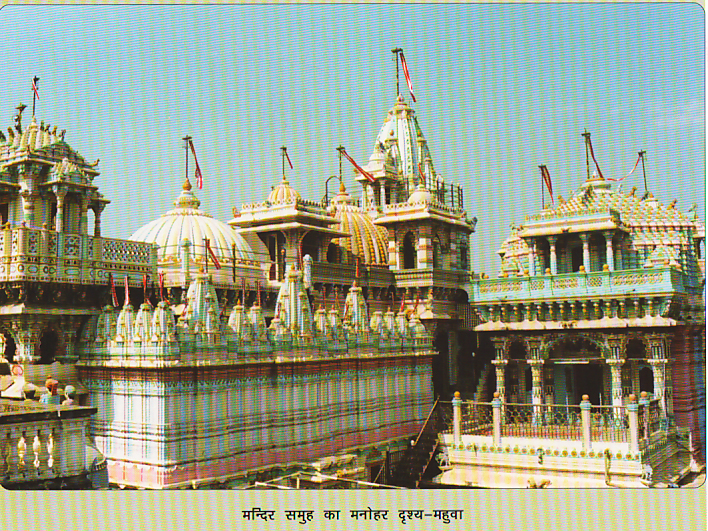 96652_mahua 1