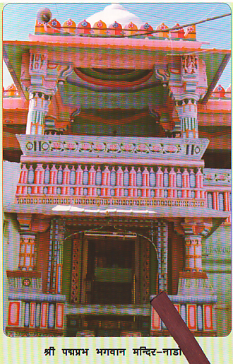 87197_nadol