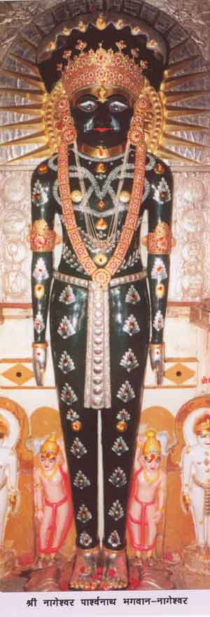 12603_Sri Nageshwar Tirth