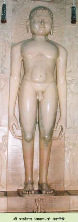 94100_Sri Nainagiri Tirth
