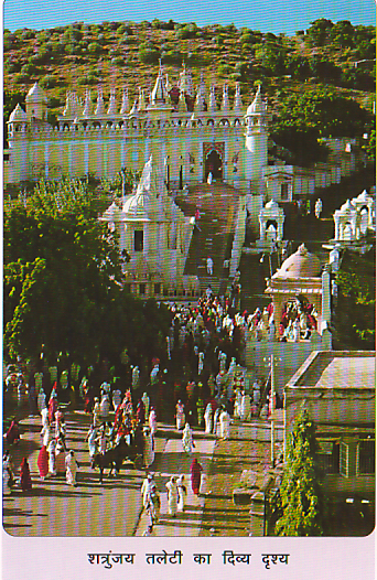 84963_talleti