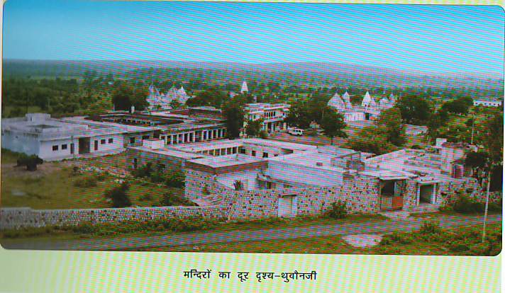 25222_thuvonji